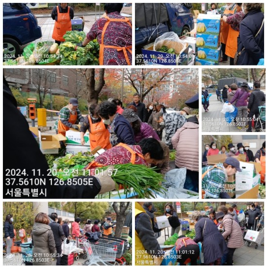 �����̹�������:layout 2024-11-20.jpg